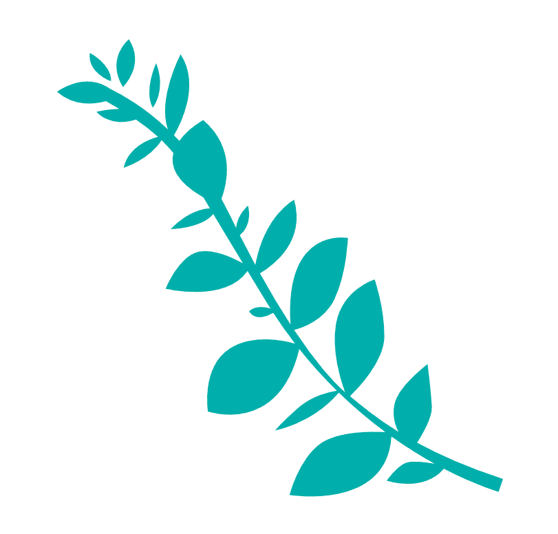 Growing plant